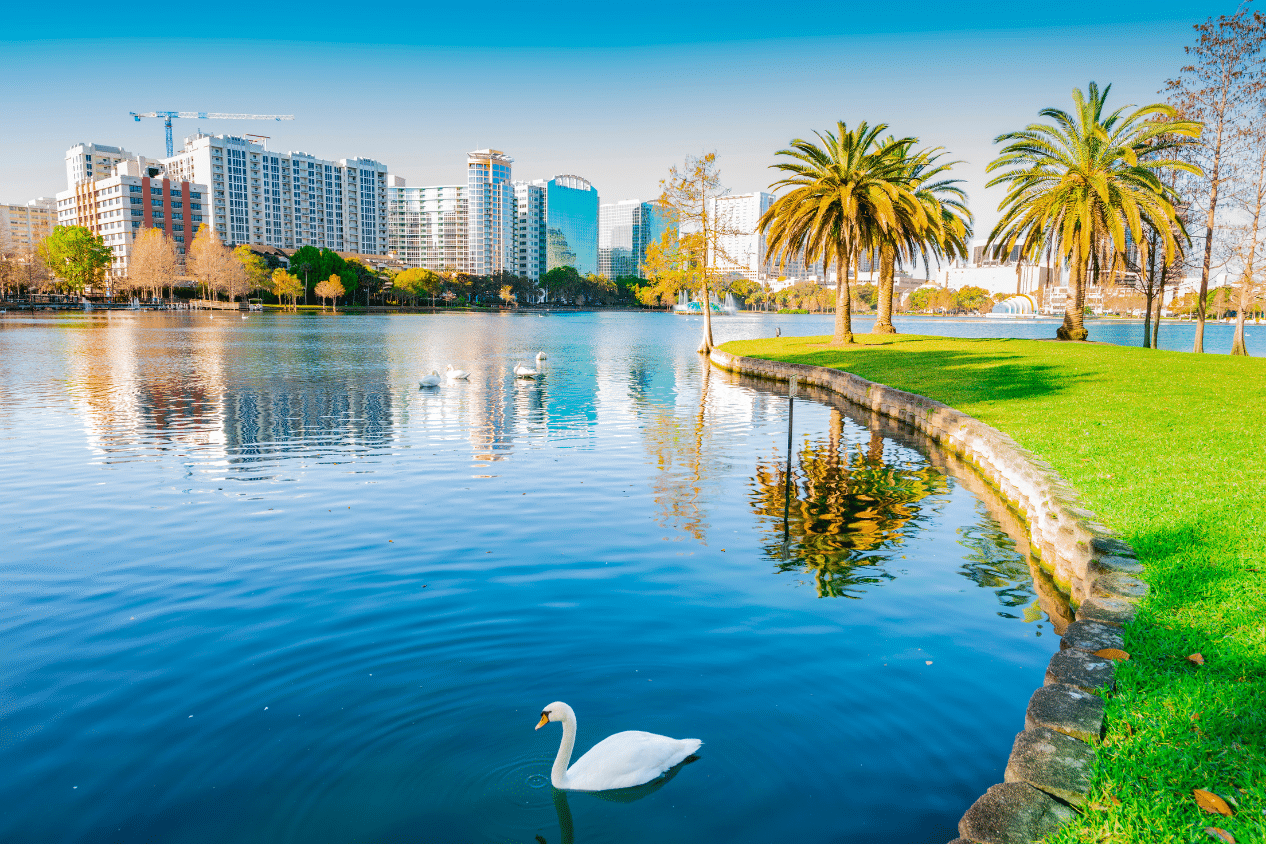 Service Areas 3 - Blue Science Pools ® - Florida Untitled 8.5 x 5.5 in 2025 02 27T155633.898 - Service Areas - Blue Science Pools ® - Florida